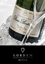 Bild von Carolin Pauline Schulz